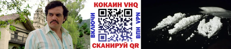 цена наркотик  Петровск-Забайкальский  COCAIN Fish Scale 
