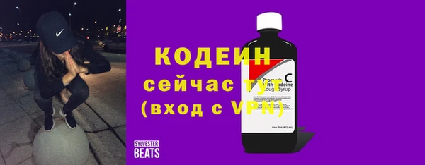амф Няндома