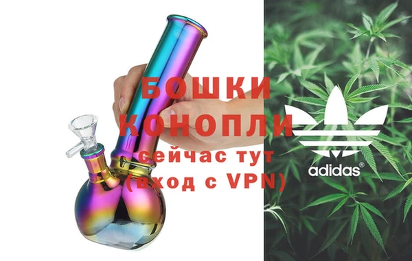 ALPHA PVP Остров